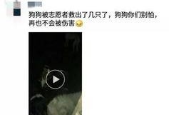 徐州最新爆料视频,现场实况直击