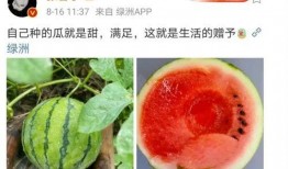 娱乐新鲜事吃瓜,揭秘明星幕后故事