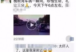 南阳视频爆料,揭秘背后惊人真相