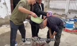 豫东小老弟最新爆料新闻,揭秘事件背后惊人真相！