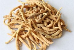 老姜爆料视频大全最新版,揭秘娱乐圈最新动态