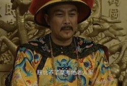 电视剧雍正王朝在线观看,揭秘清朝皇位争夺背后的权谋与智慧