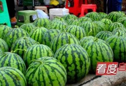 自贡网红吃瓜事件,一场网络狂欢背后的真相揭秘