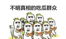 《带你吃瓜》奇葩作业免费阅读,揭秘网络奇闻异事背后的真实故事