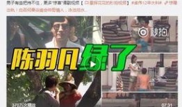 成都爆料卓先生事件视频,视频揭露惊人真相
