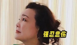 孟贺最新爆料视频大全集,揭秘背后真相与惊人内幕