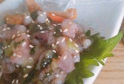 芥末章鱼爆料怎么做视频,视频生成攻略，轻松制作吸睛内容