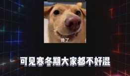 娱乐八卦吃瓜了,揭秘明星幕后故事