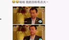 天涯爆料缅甸罗峰视频完整版,天涯爆料视频完整版深度解析