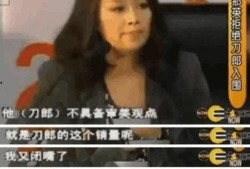 那英爆料视频,揭秘娱乐圈不为人知的真相
