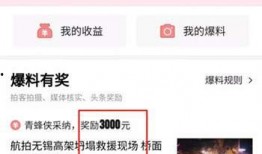 今日头条爆料视频怎么做,热门事件背后的真相
