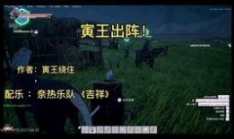 春节爆料视频大全下载,精彩瞬间回顾